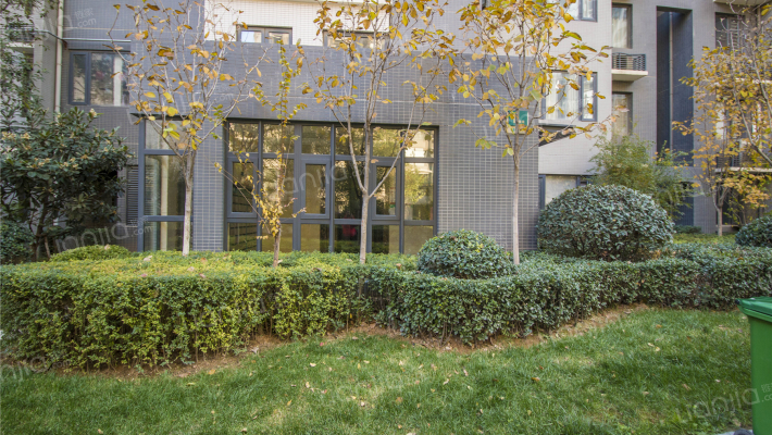 新蓝钻C区外景图