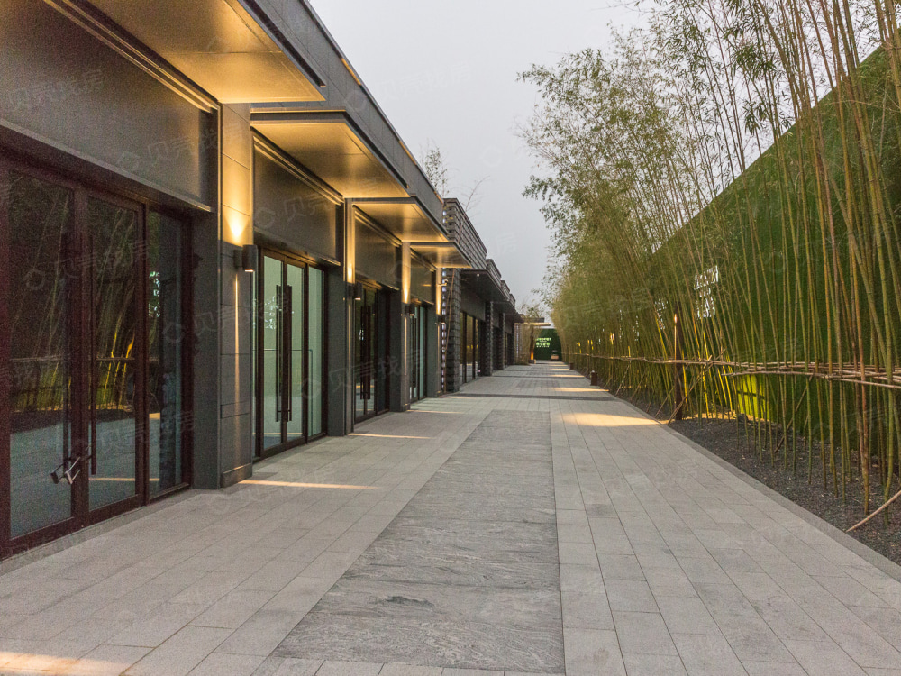 亚新海棠公馆相册