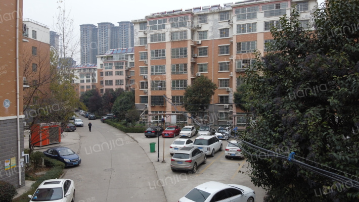 双府世家花园外景图