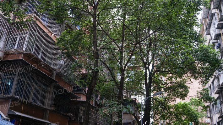 三重才园外景图