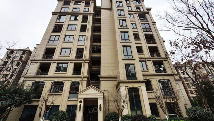 新湖菲林外景图