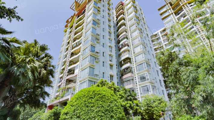 旭景家园外景图