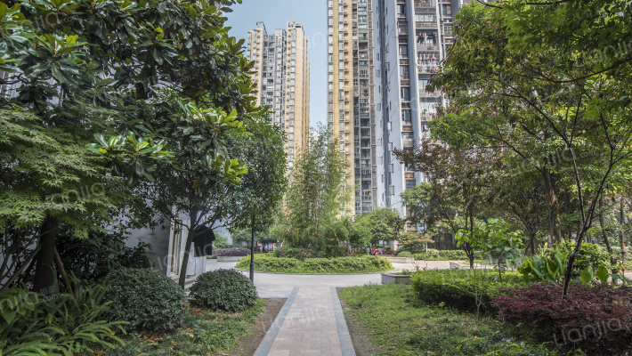 西城首座外景图