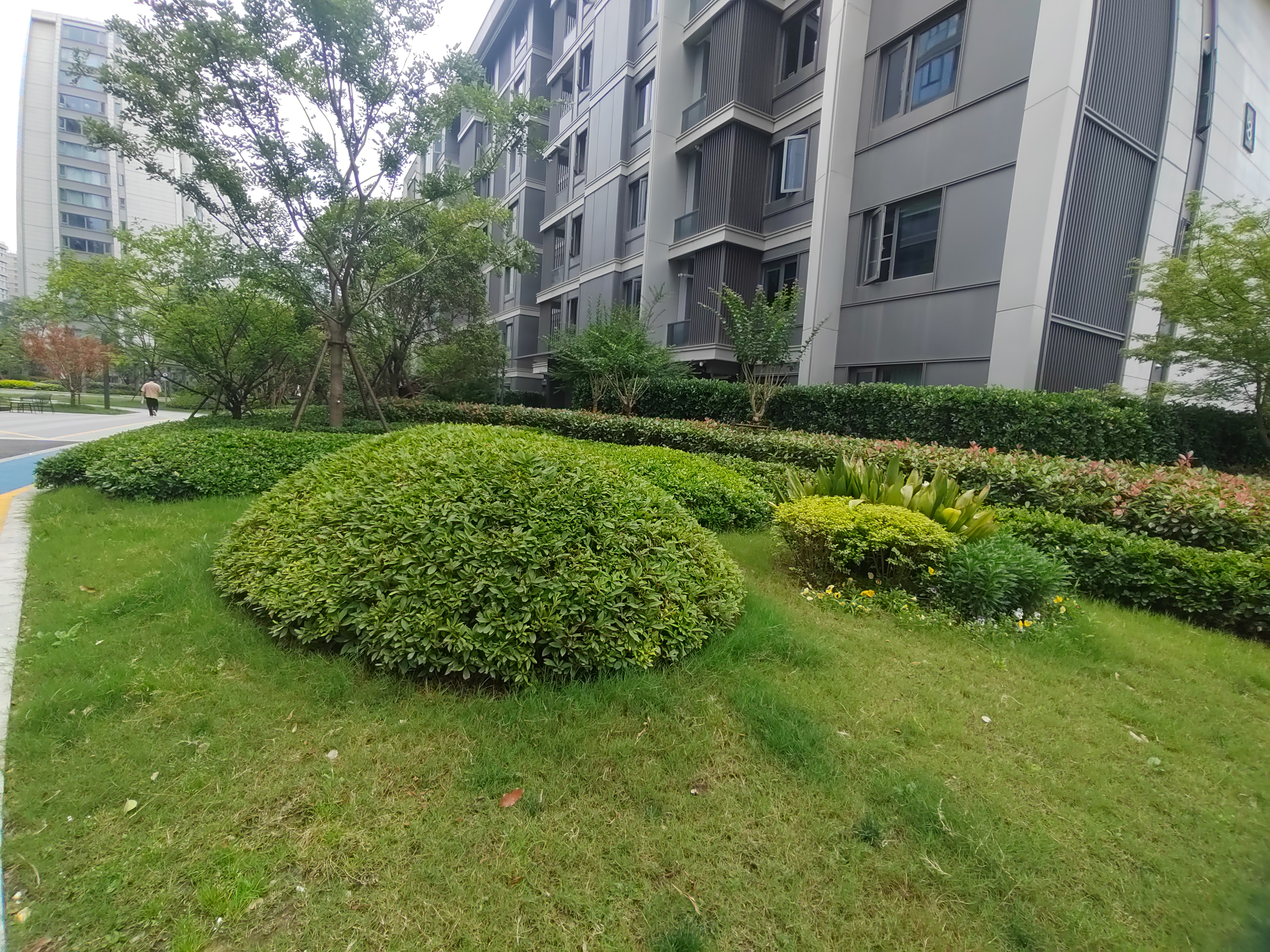 中南棠玥湾小区实景 7