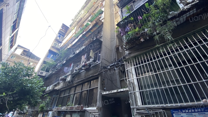 政府街红卫大院外景图