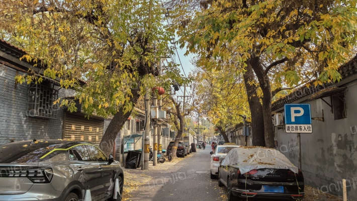 东四十三条外景图