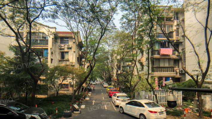 三塘桃园外景图