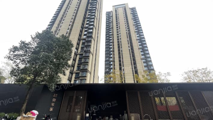 金地融信御琴峯外景图