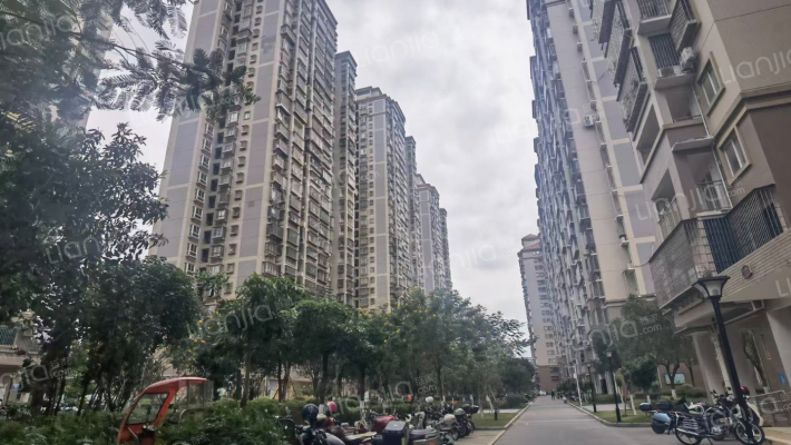 碧溪花园外景图