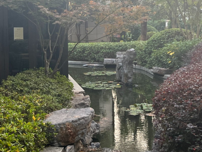 合景映月台小区实景 4