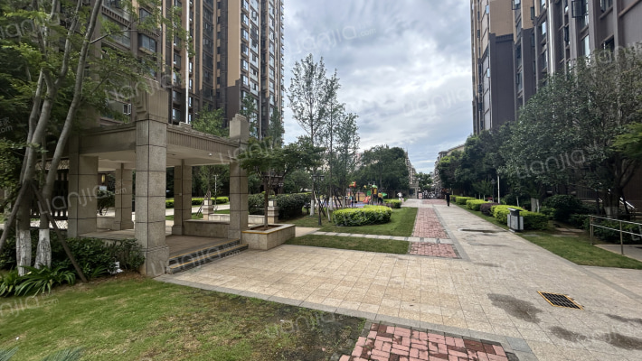 新城新世界四期柏樾外景图