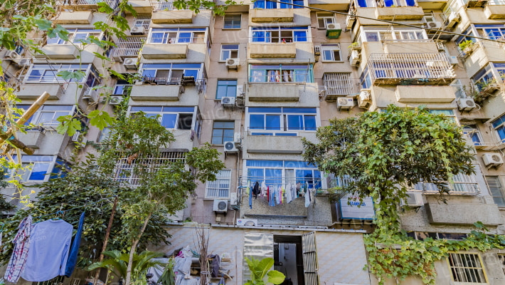 杨庄西村外景图