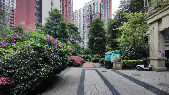 光华碧邻外景图