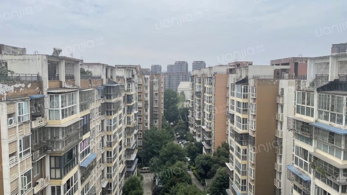 现代新居A区外景图