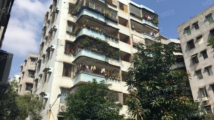 东沙小区外景图