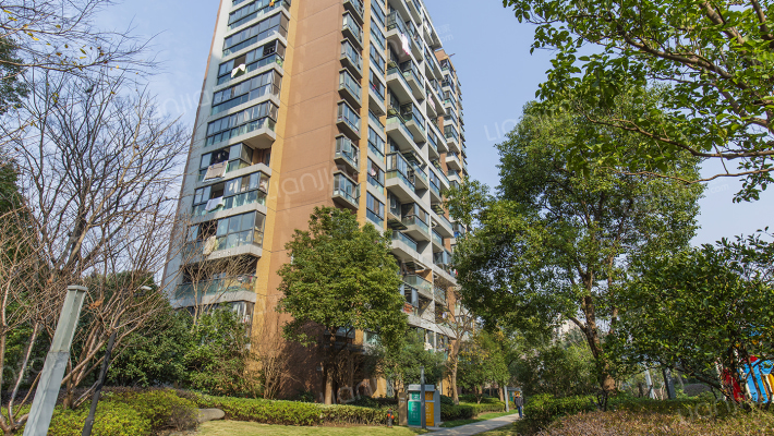 大家多立方外景图