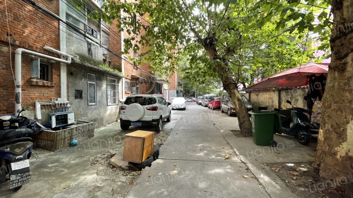 贵柴二福利外景图