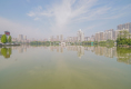 文化路8号户型图实景图