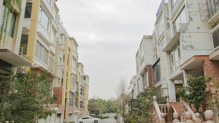 青青美庐外景图