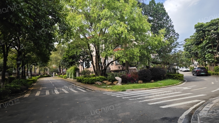 紫泉流溪湾外景图