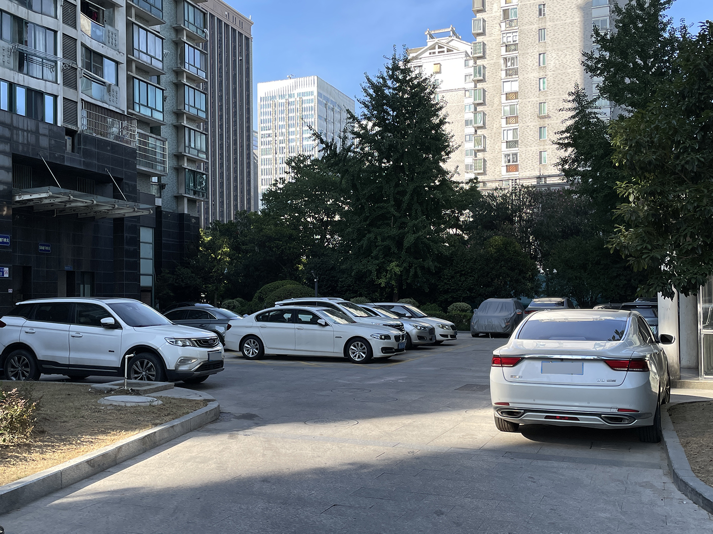 中兴花园小区实景 25