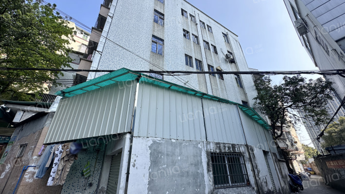 荔枝岗大街外景图