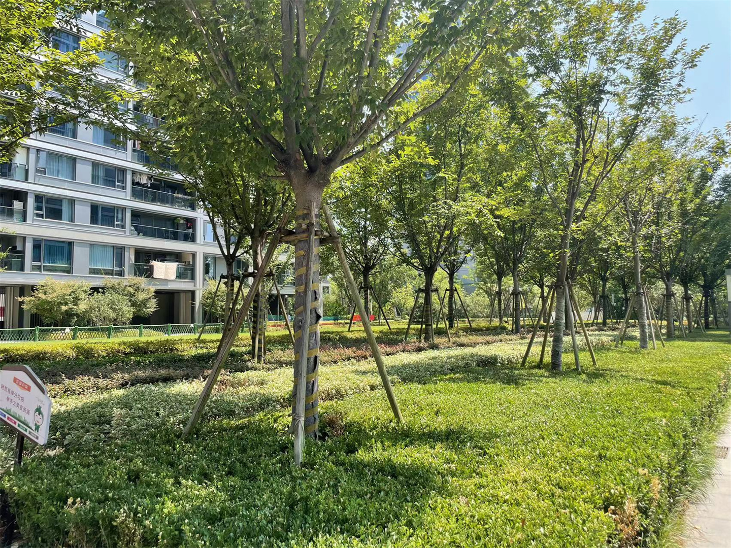 凤玺云著府小区实景 18