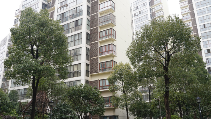 银杏嘉园外景图