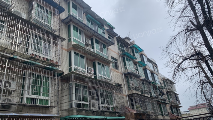 纽约新城外景图