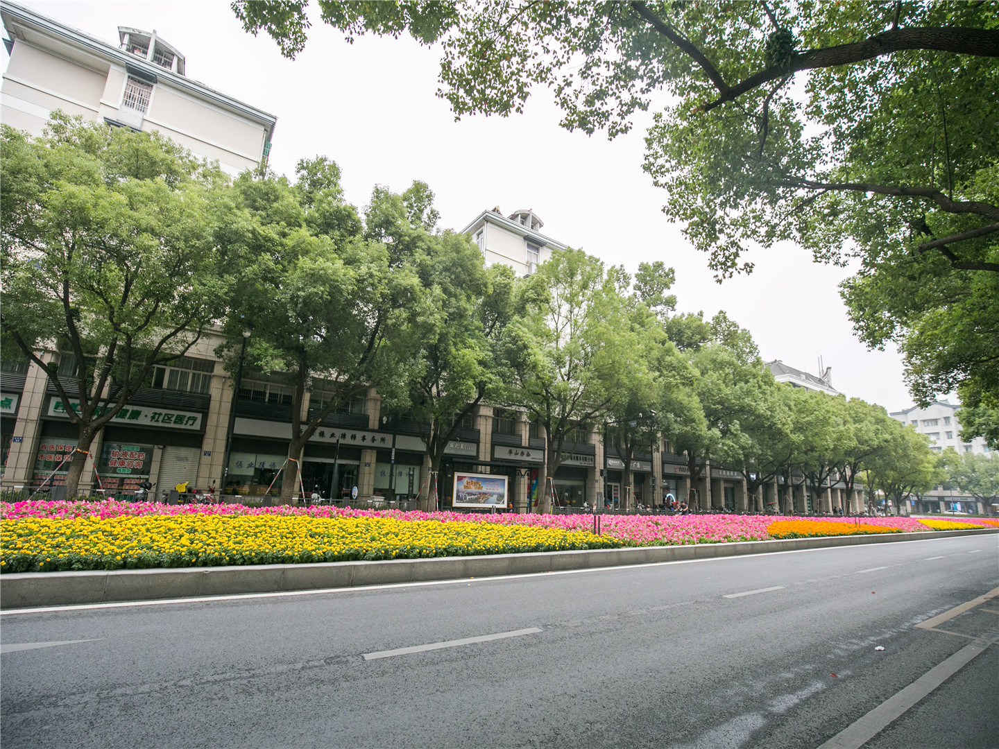 藕花苑小区实景 5