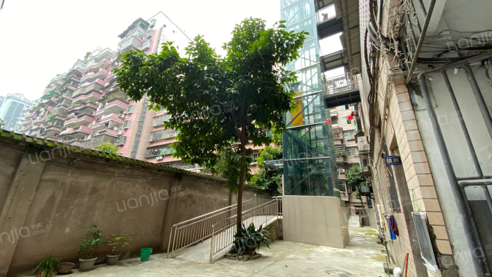 农业局家属院(滨江大道西段)外景图