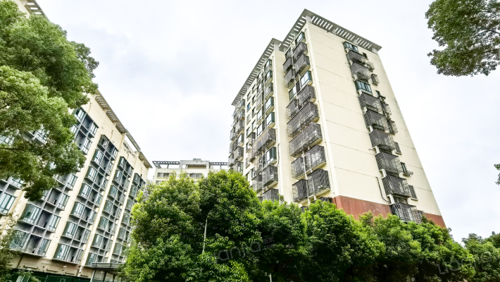 北翔广场外景图