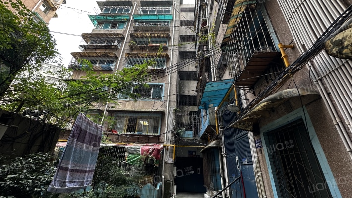 市西路7号外景图