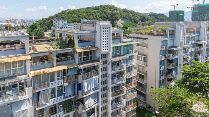 滨江丽景临江园外景图