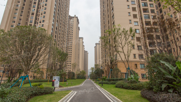 金科世界城(长寿)外景图