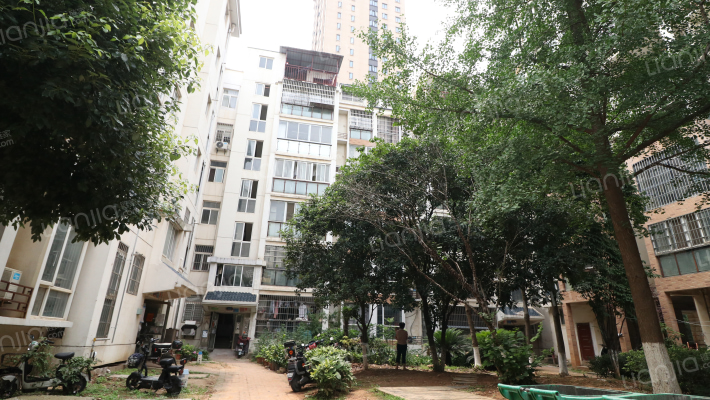 玫汉口北城A区外景图