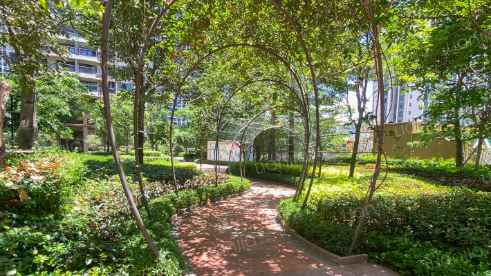 盈悦森境外景图