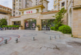 大绿地凤凰花园户型图实景图