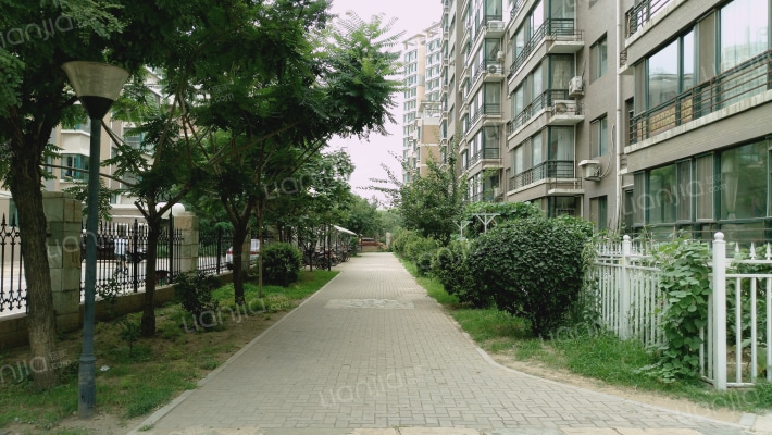 梦想之约外景图