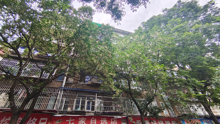 七家巷8号外景图