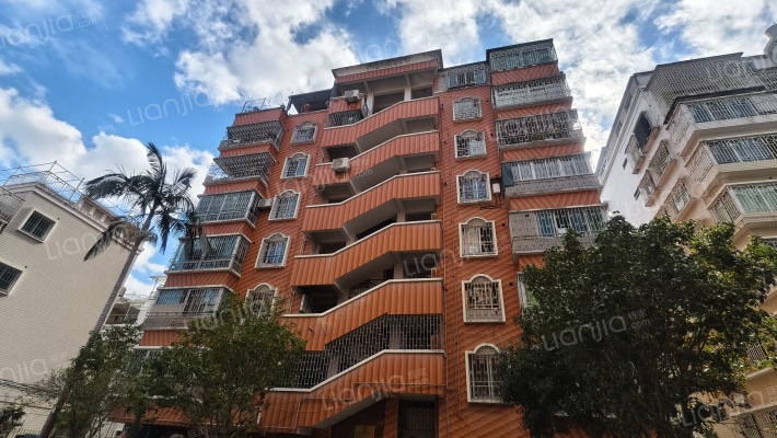 迪鑫花园外景图