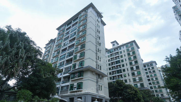 学林雅院外景图