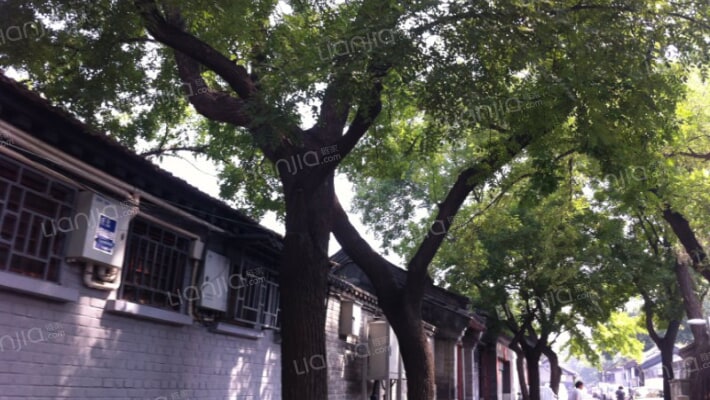 西四北四条外景图