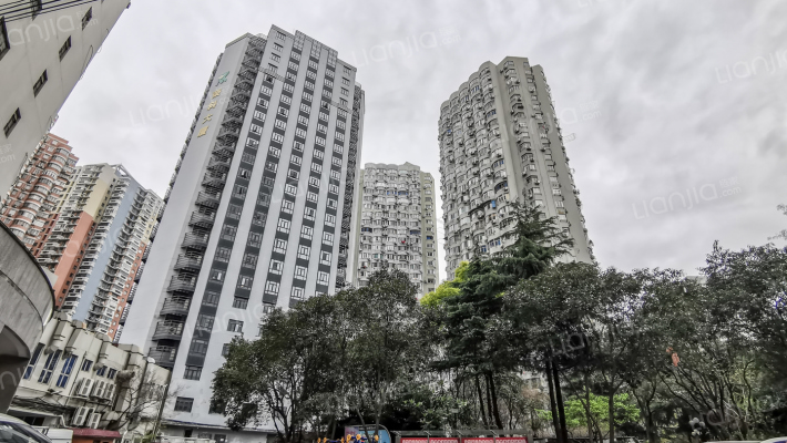 南园小区外景图