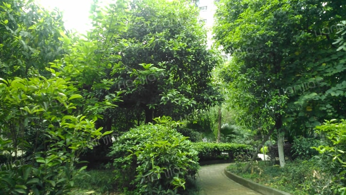 玉豪龙庭外景图