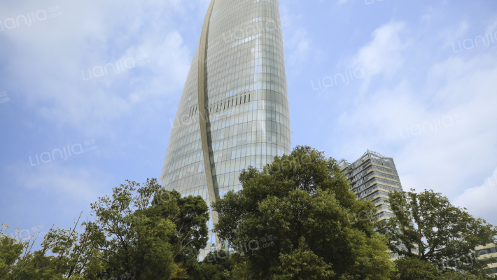 新力中心外景图