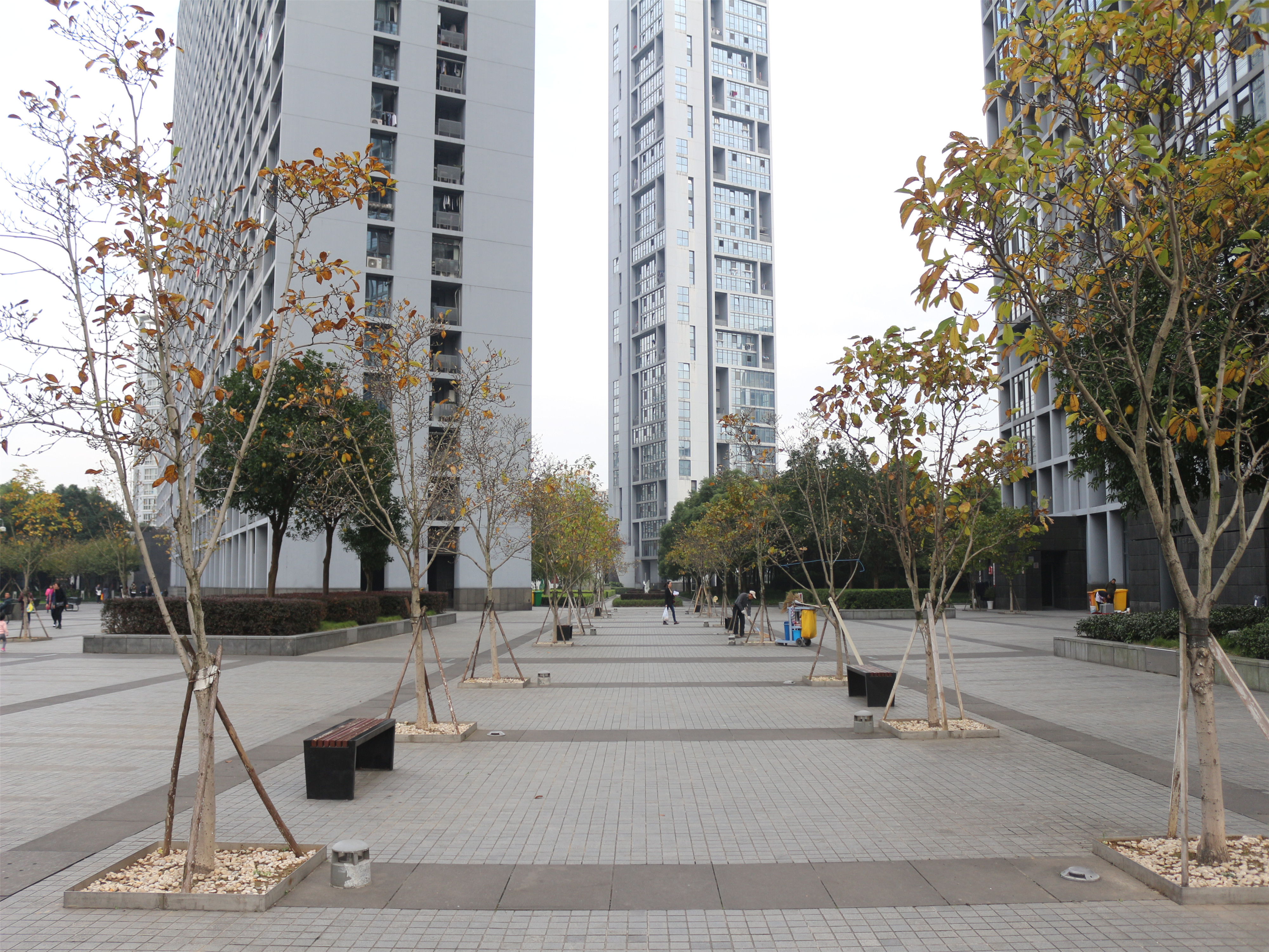 Beyond City compound photo 12