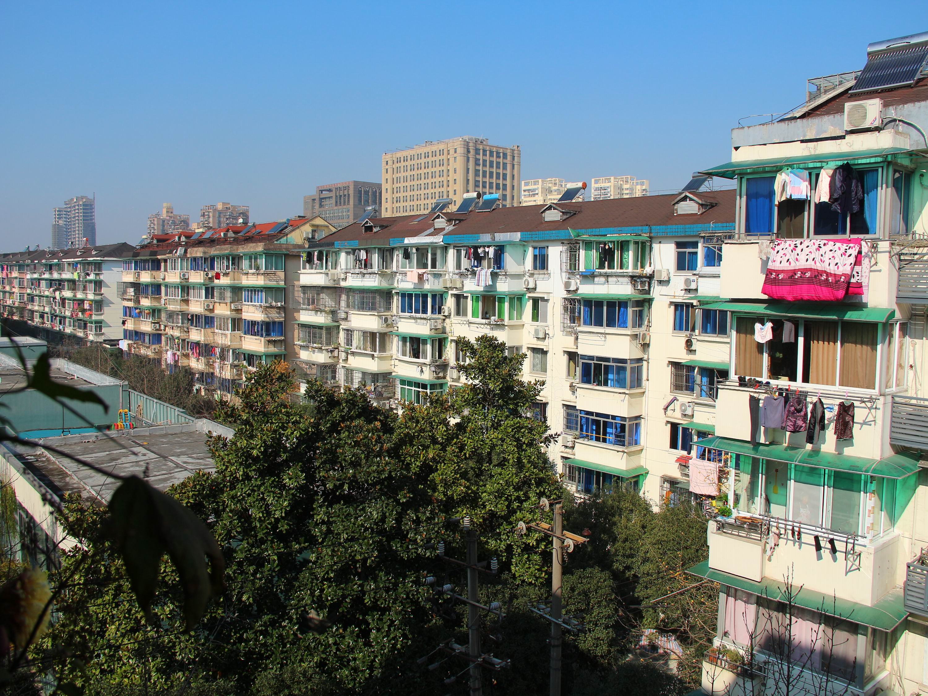 古荡新村东区小区实景 7