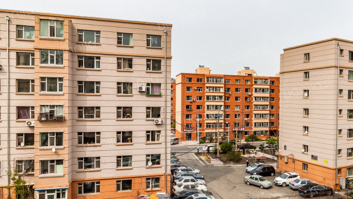 东岭南街教师楼外景图