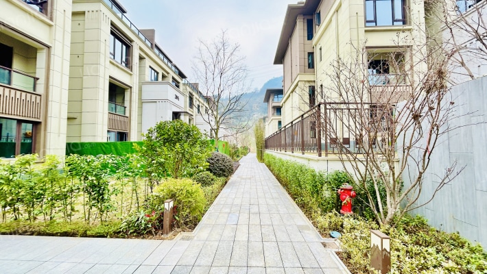 仁安南山院子外景图